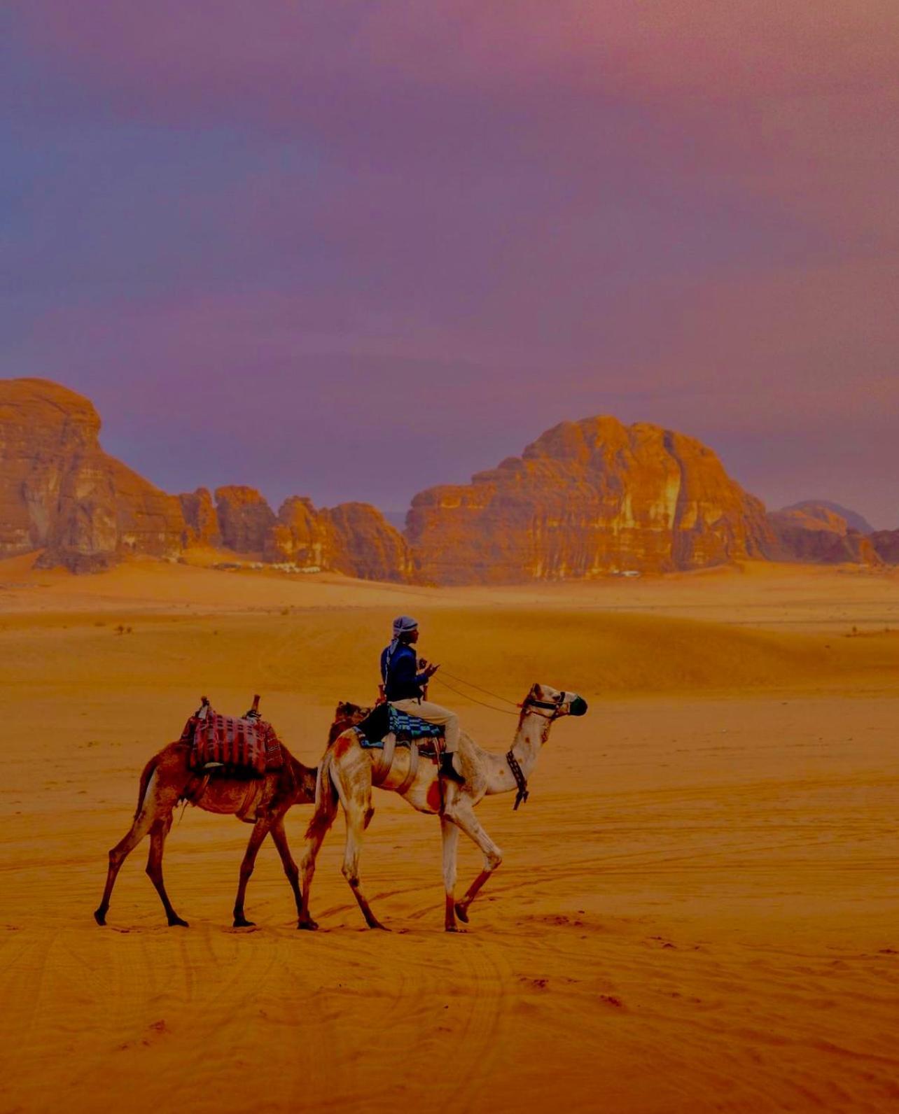 Wadi Rum Meteorite Camp 외부 사진
